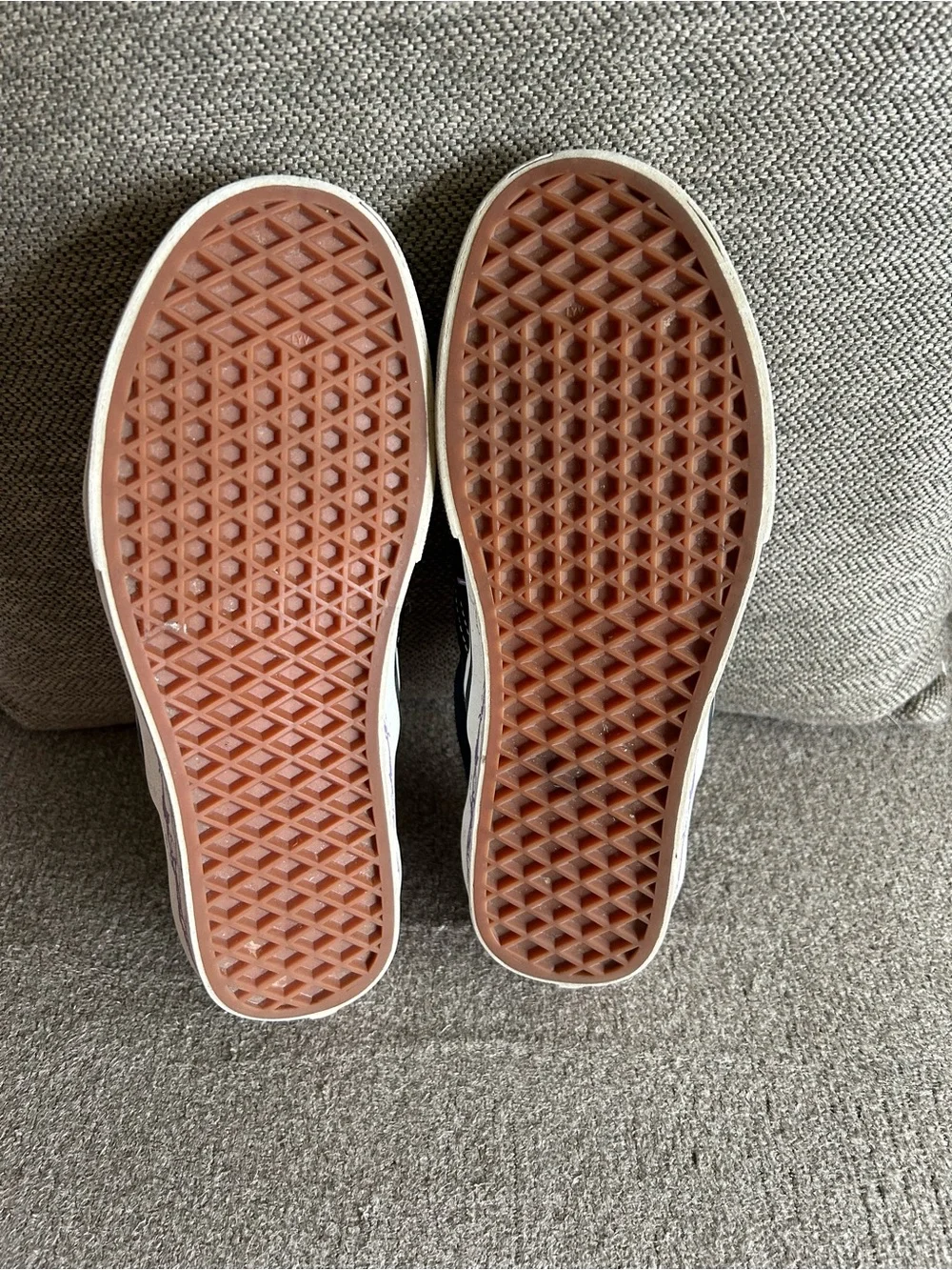 Vans slip zap